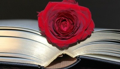 本と赤いバラ