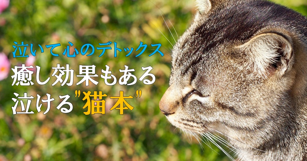 癒し効果もある 泣ける 猫本 の魅力 泣いて心のデトックス ブックオフオンラインコラム